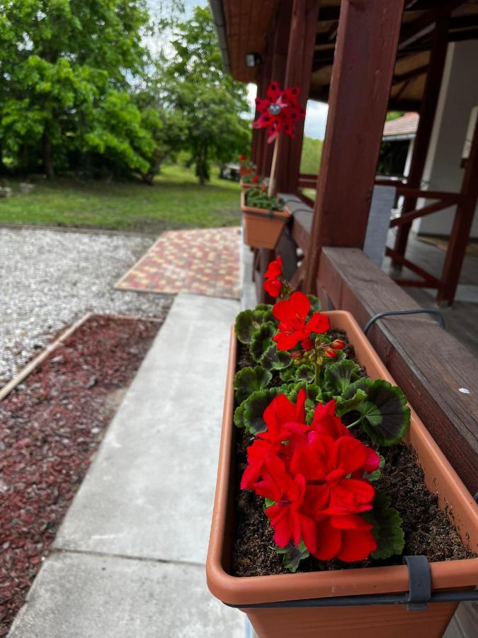 Poettyoesotthon Vendeghaz Lägenhet Tiszabábolna Exteriör bild